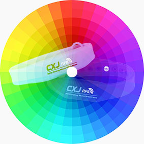 Colorful RS-AW008 RFID Wristband Silicone With Chip Colorful RS-AW008 RFID Wristband Silicone With Chip