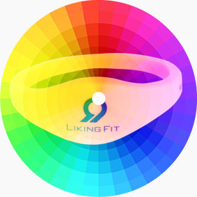 RS-CW009 RFID 125 KHz Silicone Wristband RS-CW009 RFID 125 KHz Silicone Wristband