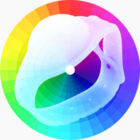 Customized Colors of Silicone Sanitizer Wristband RS-SW002 Customized Colors of Silicone Sanitizer Wristband RS-SW002