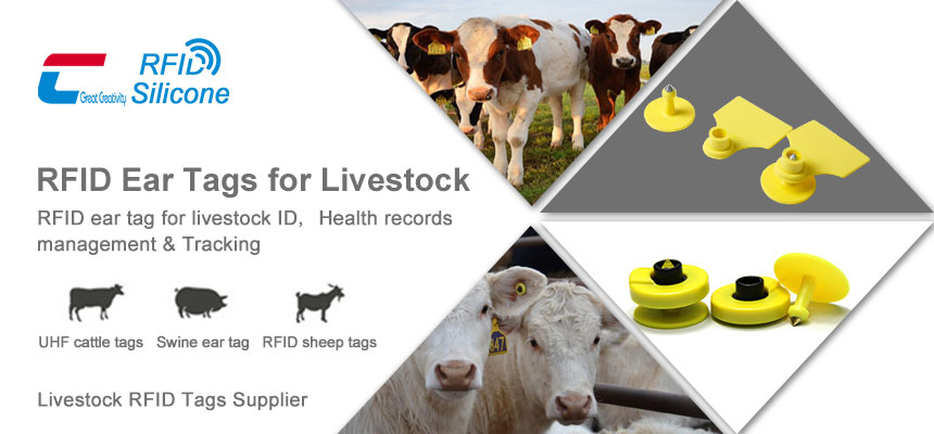 The types of livestock rfid tags are cow rfid tags, uhf cattle tags, rfid sheep tags The types of livestock rfid tags are cow rfid tags, uhf cattle tags, rfid sheep tags