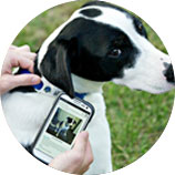 Quick access to rescue contactowner info Quick access to rescue contactowner info