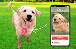 NFC Tag for smartphone NFC NFC Tag for smartphone NFC
