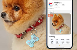 Tap NFC Pet Tag RS-PT007 to quickly get owner information Tap NFC Pet Tag RS-PT007 to quickly get owner information