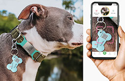 NFC Pet Tag RS-PT007 can be scaned with QR code NFC Pet Tag RS-PT007 can be scaned with QR code