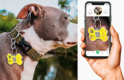 Metal Edge QR-code NFC Dog Tag Metal Edge QR-code NFC Dog Tag