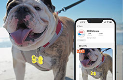 Readable via NFC or QR code access to owners contact info. Readable via NFC or QR code access to owners contact info.