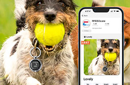 Tap NFC tags to quickly access pet information Tap NFC tags to quickly access pet information