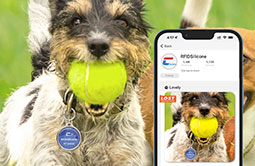 Accessible Metal Edge NFC Smart Dog Tag QR Code Tag Accessible Metal Edge NFC Smart Dog Tag QR Code Tag