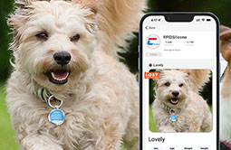 Tap RFID NFC Dog Tags Get pet profile Tap RFID NFC Dog Tags Get pet profile
