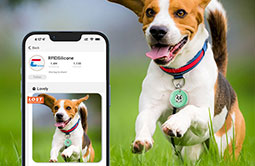 Tap full epoxy anti-lost NFC & QR code dog tag to get pet information Tap full epoxy anti-lost NFC & QR code dog tag to get pet information