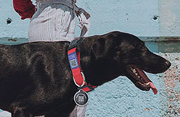 Soft Nylon RFID Dog Collar comfortable to wear Soft Nylon RFID Dog Collar comfortable to wear