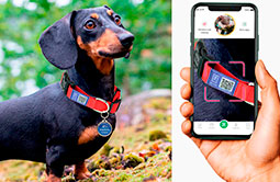 Tap NFC or scan QR code to match various smartphones Tap NFC or scan QR code to match various smartphones