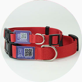 RFIDSilicone RFID NFC Pet Collar RFIDSilicone RFID NFC Pet Collar