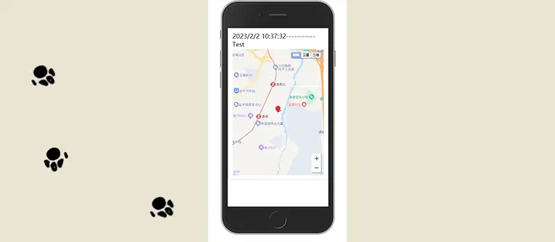 Pet location record Pet location record