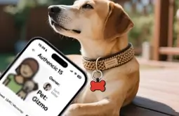 digital dog tag access to owners contact details easily and quickly