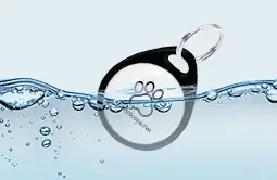 custom cat name tags are waterproof custom cat name tags are waterproof