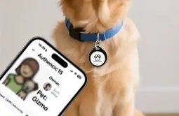 the custom cat name tags can access to owners contact details easily & quickly the custom cat name tags can access to owners contact details easily & quickly