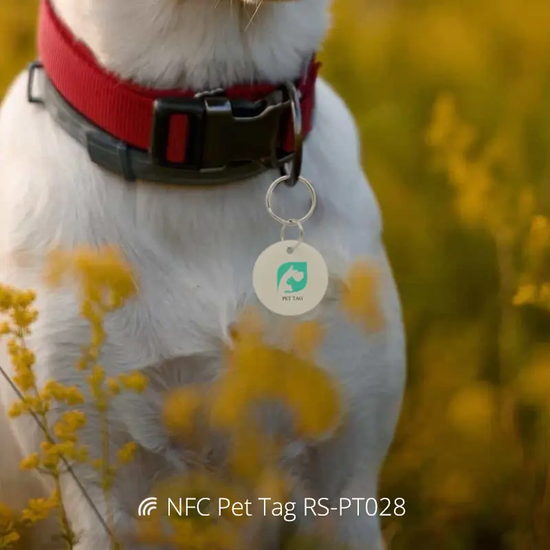 Dia 30MM NFC Modern Dog Tags Epoxy Anti-lost Tag