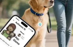 modern dog tags can access to owners contact details easily & quickly modern dog tags can access to owners contact details easily & quickly