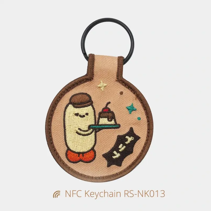 Programmable NFC Tag for Digital Access Control