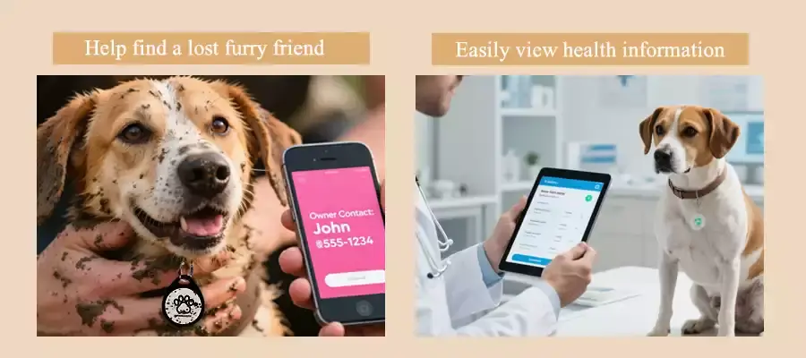the application scenario of nfc pet id tags the application scenario of nfc pet id tags