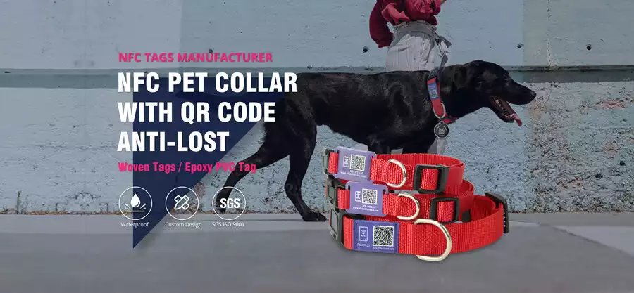 nfc dog collars custom & wholesale nfc dog collars custom & wholesale