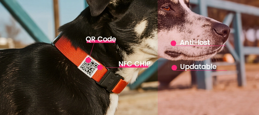what is nfc qr code pet collar what is nfc qr code pet collar